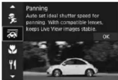 CANON EF 24105mm f4L IS II USM - SCN Modes - 6