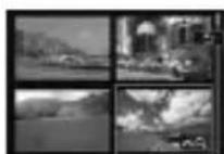 CANON EF 24105mm f4L IS II USM - Switch to the index display. - 3