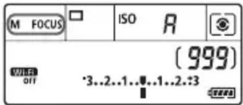 CANON EF 24105mm f4L IS II USM - Focus on the subject. - 1