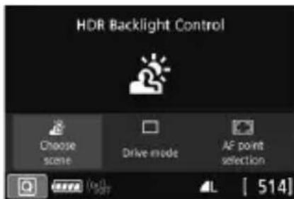 CANON EF 24105mm f4L IS II USM - SCN: Shooting Backlit Scenes - 1