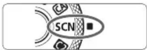 CANON EF 24105mm f4L IS II USM - SCN: Special Scene Mode - 1