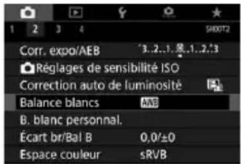 CANON EF 24105mm f4L IS II USM - AWB balance des blancs automatique - 1