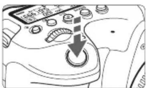 CANON EF 24105mm f4L IS II USM - Check the AF point. - 1