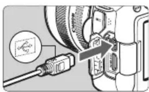 CANON EF 24105mm f4L IS II USM - Install the software (p.194). - 1