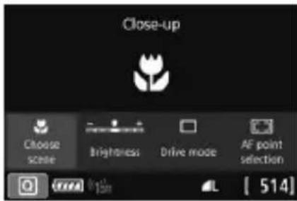 CANON EF 24105mm f4L IS II USM - SCN: Shooting Close-ups - 1
