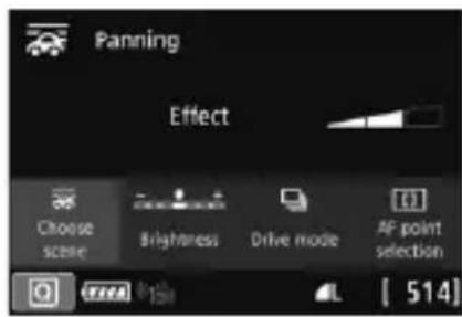 CANON EF 24105mm f4L IS II USM - SCN: Panning - 1