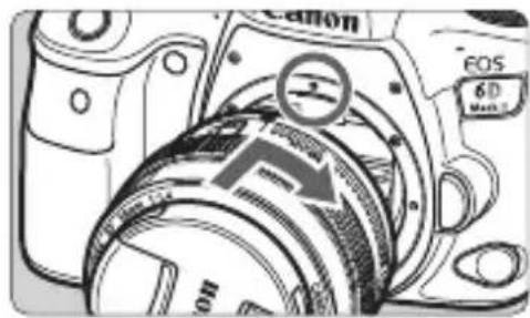 CANON EF 24105mm f4L IS II USM - Remove the caps. - 1