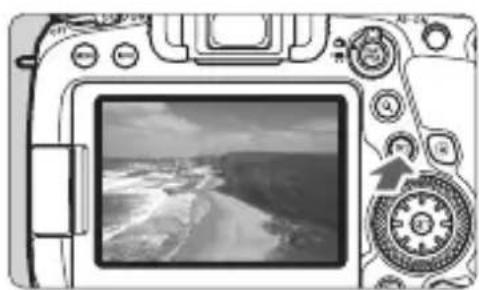 CANON EF 24105mm f4L IS II USM - Play back the image. - 1