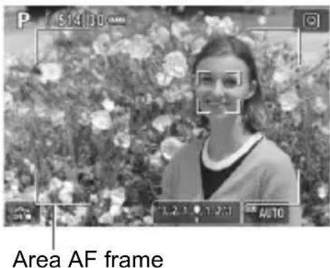 CANON EF 24105mm f4L IS II USM - Display the Live View image. - 1