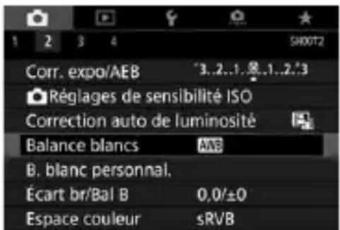 CANON EF 24105mm f4L IS II USM - WB: réglage de la balance des blancs - 1