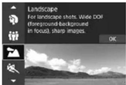 CANON EF 24105mm f4L IS II USM - SCN Modes - 3