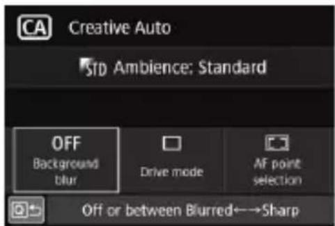 CANON EF 24105mm f4L IS II USM - Press the <  > button (10). - 1