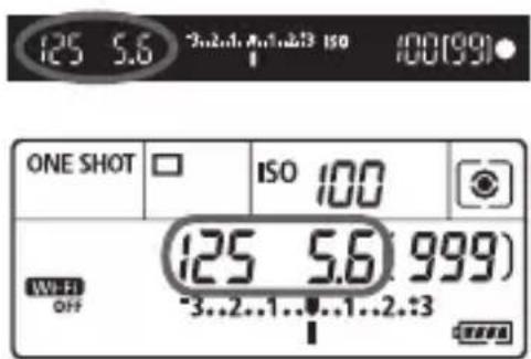 CANON EF 24105mm f4L IS II USM - Effectuez la mise au point sur le sujet. - 1