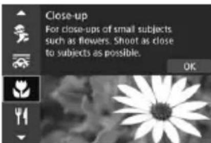 CANON EF 24105mm f4L IS II USM - SCN Modes - 7