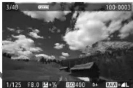 CANON EF 24105mm f4L IS II USM - Select an image. - 2