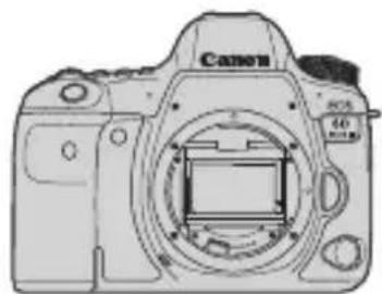 CANON EF 24105mm f4L IS II USM - Lista de comprobación de elementos - 1