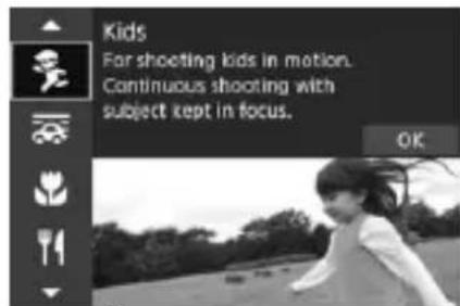 CANON EF 24105mm f4L IS II USM - SCN Modes - 5