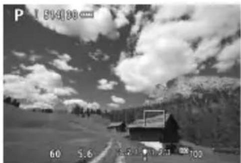 CANON EF 24105mm f4L IS II USM - Focus on the subject. - 1