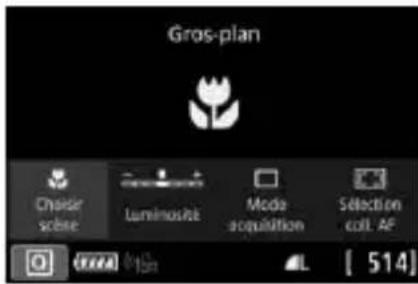 CANON EF 24105mm f4L IS II USM - SCN: prise de vue en gros-plan - 1