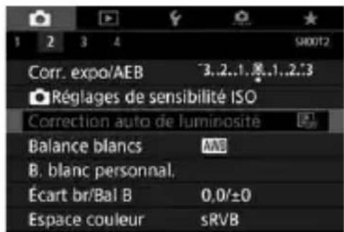 CANON EF 24105mm f4L IS II USM - Exemple : priorité haute lumières - 1