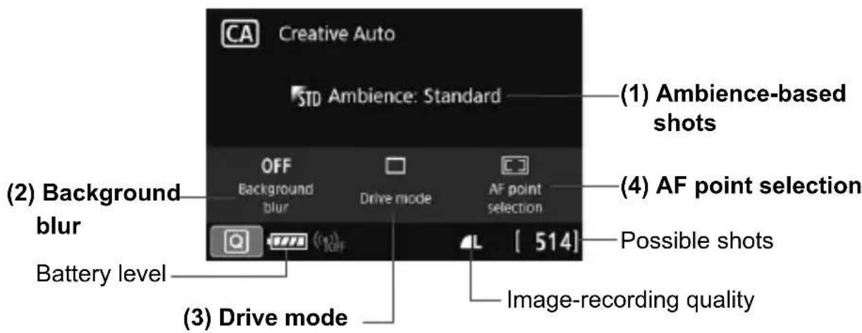 CANON EF 24105mm f4L IS II USM - Take the picture. - 1