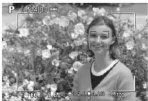 CANON EF 24105mm f4L IS II USM - Shooting with the LCD Monitor - 3