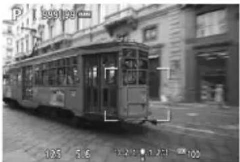 CANON EF 24105mm f4L IS II USM - Focus on the subject. - 1