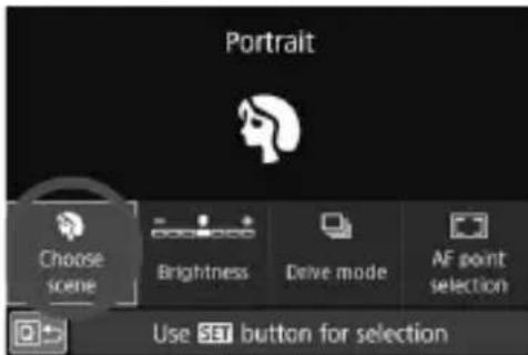 CANON EF 24105mm f4L IS II USM - Press the <  > button (10). - 1