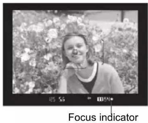 CANON EF 24105mm f4L IS II USM - Focus on the subject. - 1