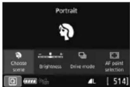 CANON EF 24105mm f4L IS II USM - SCN Modes - 10