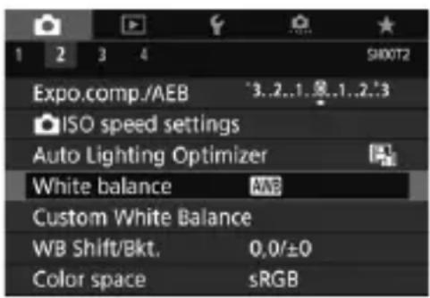 CANON EF 24105mm f4L IS II USM - WB: Setting the White Balance - 1
