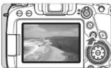 CANON EF 24105mm f4L IS II USM - Single-Image Display - 1