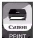 CANON PIXMA G4510 - Clique em Iniciar configuraçao (Start Setup). - 1