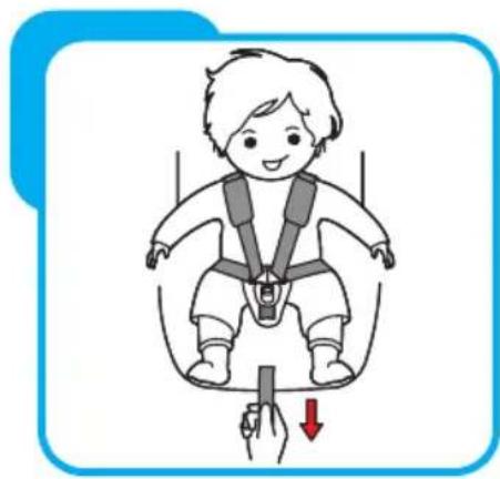 Baninni Vega - Step 4 De gordels verstellen - 2