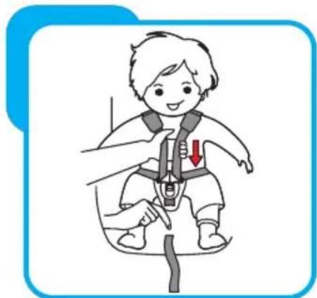 Baninni Vega - Étape 4 Réglage des ceintures de sécurité - 1