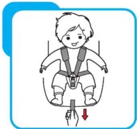 Baninni Vega - Étape 4 Réglage des ceintures de sécurité - 2