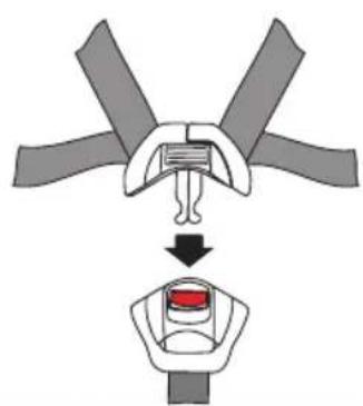 Baninni Vega - Step 3 The use of the belts - 2