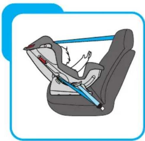 Baninni Vega - Installation pour le groupe 0+ (0-13 kg) - 5