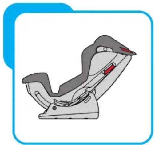 Baninni Vega - Stap 8 De installmentie van de autostoel 8.1 Installatie voor groep 0+ (0-13kg) - 1