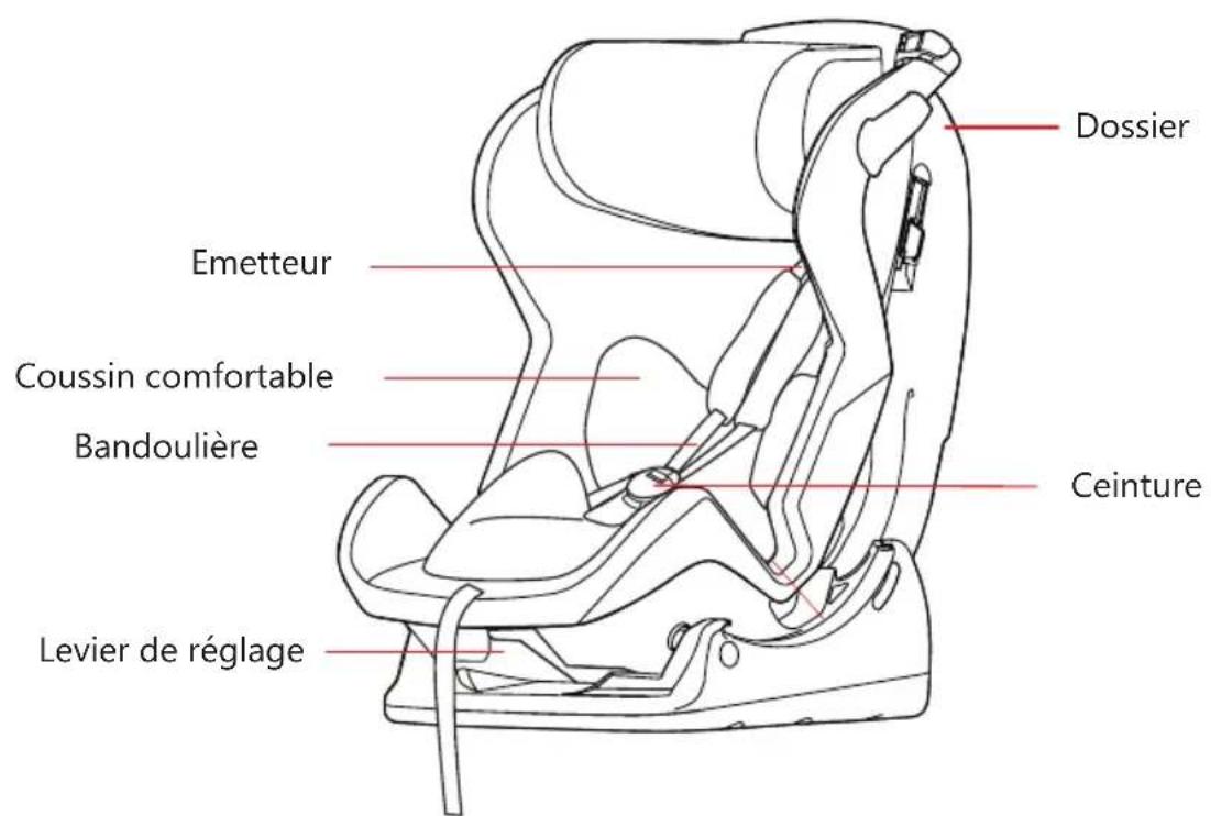 Baninni Vega - ECE R44 / 04 satisfait à la certification NO: 04301347 - 1