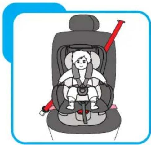 Baninni Vega - Stap 8 De installmentie van de autostoel 8.1 Installatie voor groep 0+ (0-13kg) - 9