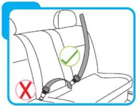 Baninni Vega - NICTRICHTG - 1