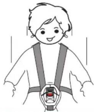 Baninni Vega - Step 3 The use of the belts - 3