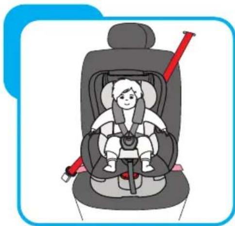 Baninni Vega - Schritt 8 Die Installation des Autositzes 8.1 Installation für die Gruppe 0+ (0-13 kg) - 5