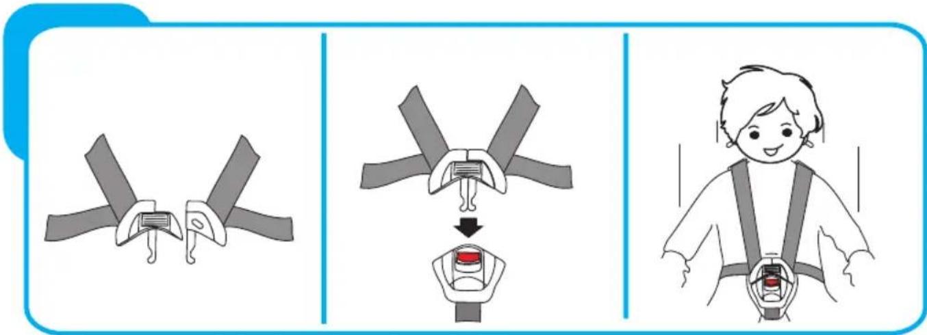 Baninni Vega - Etape 3 L'utilisation des courroies - 1