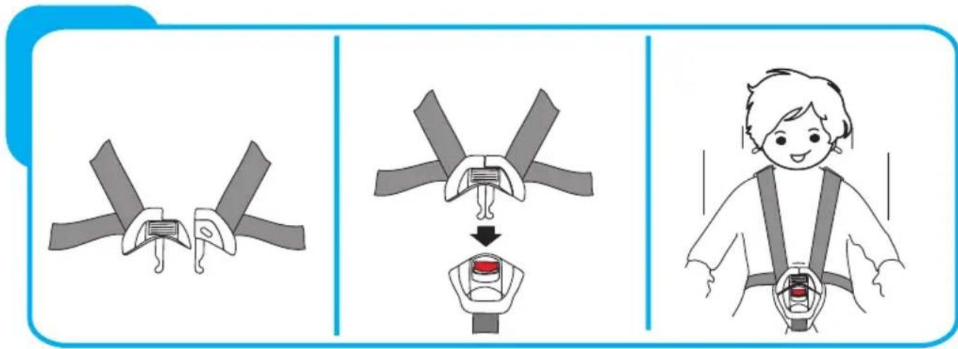 Baninni Vega - Stap 3 Het gebruik van de gordels - 1