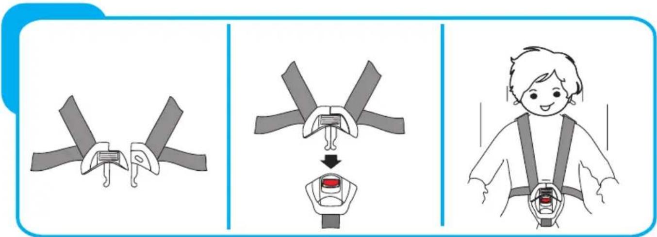 Baninni Vega - Schritt 3 Die Verwendung der Gurte - 1