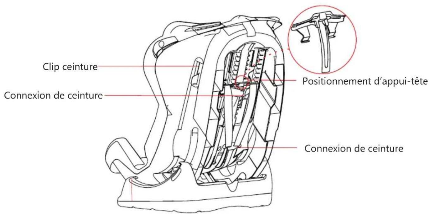 Baninni Vega - ECE R44 / 04 satisfait à la certification NO: 04301347 - 2
