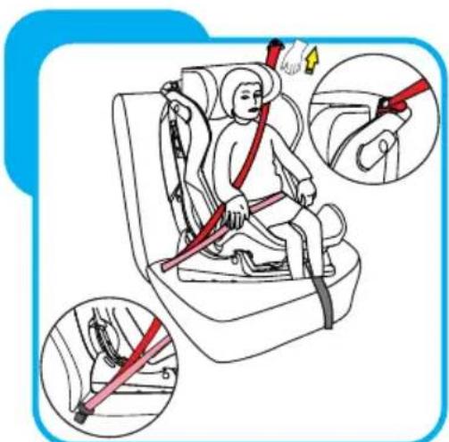 Baninni Vega - Schritt 8 Die Installation des Autositzes 8.3 Die Installation der Gruppe II (15-25kg) - 2