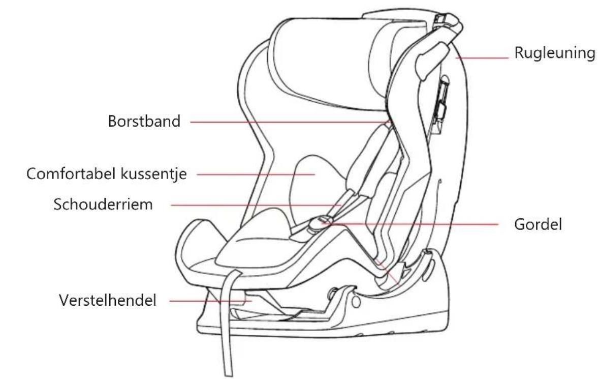 Baninni Vega - ECE R44/04 met certificaat NO: 04301347 - 1